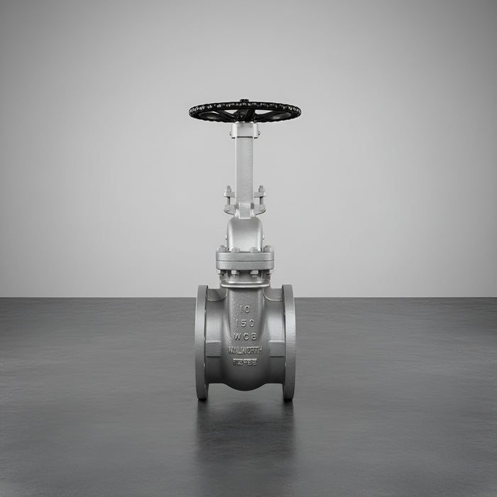 Valvula De Compuerta De 10  Clase 150 Walworth