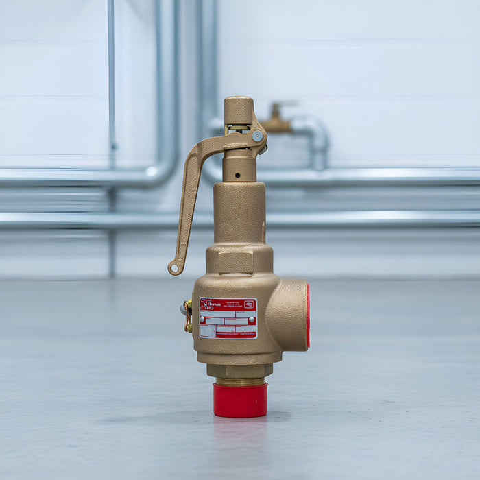 Válvula De Seguridad De 2x2-1/2 Marca Vayremex