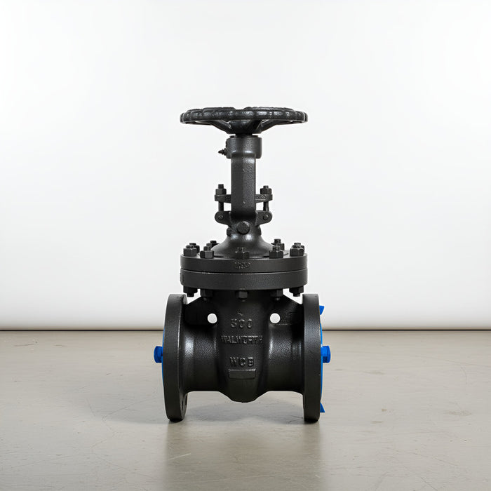 Válvula De Compuerta De 4 Clase 300 Marca Walworth