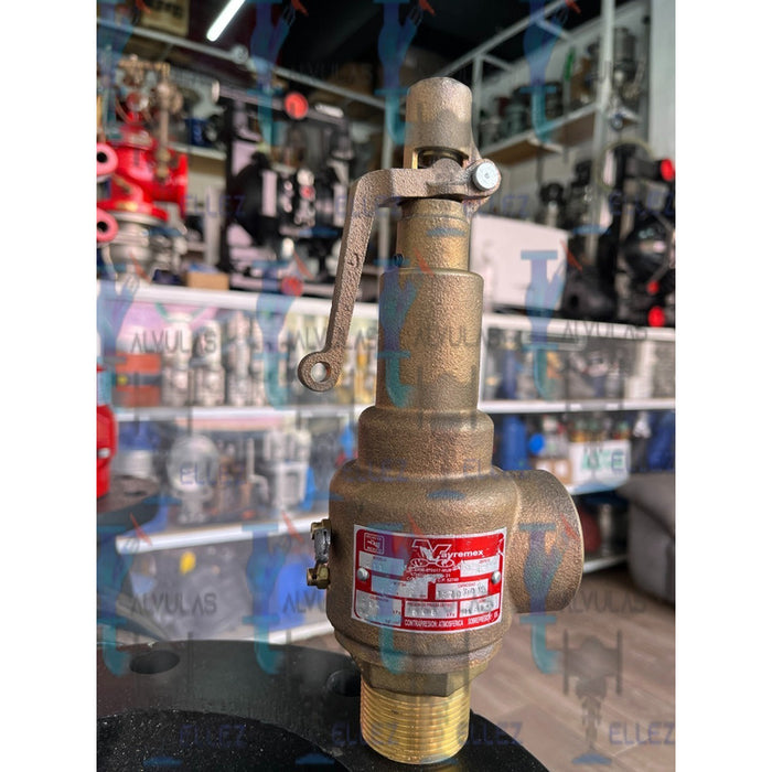 Valvula De Seguridad Vayremex Mod 211-25d25tb C/constancia