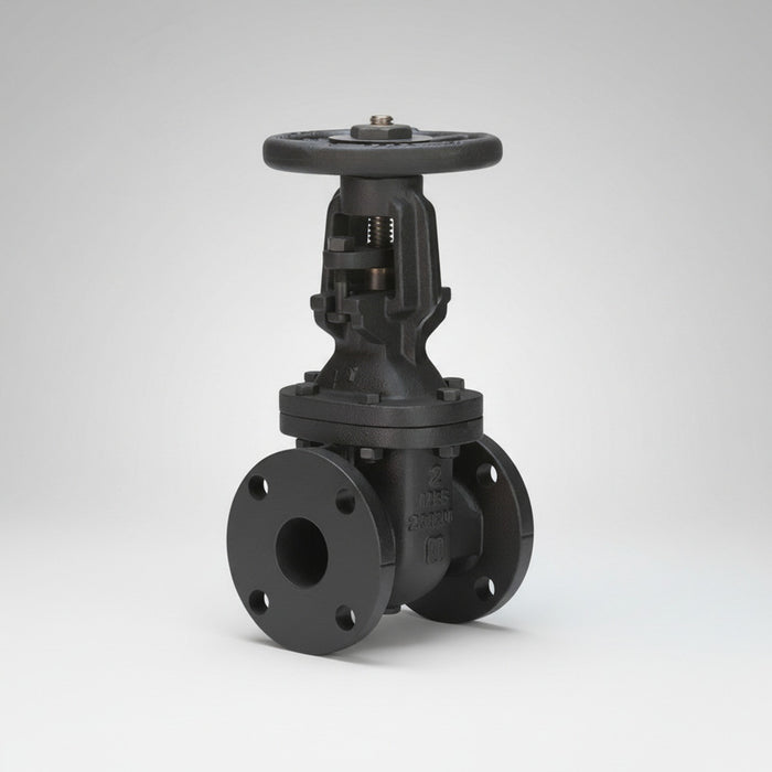 Válvula De Compuerta De 12 Clase 125 Walworth