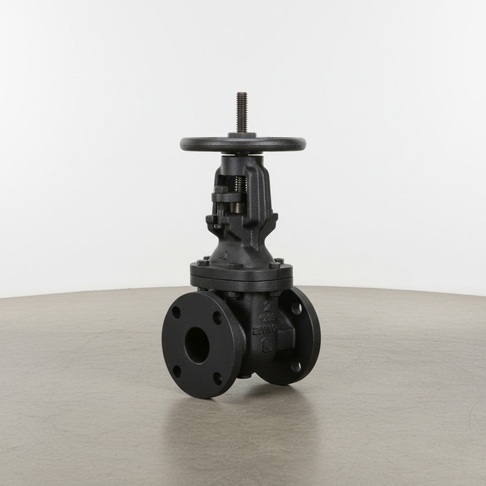 Válvula De Compuerta De 12 Clase 125 Walworth