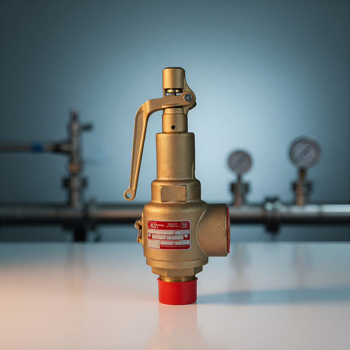 Válvula De Seguridad De 2x2-1/2 Marca Vayremex