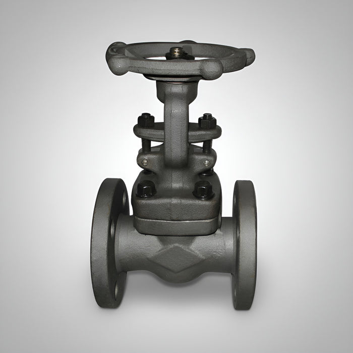 Válvula De Compuerta De 1 Bridada A.c. Clase 150