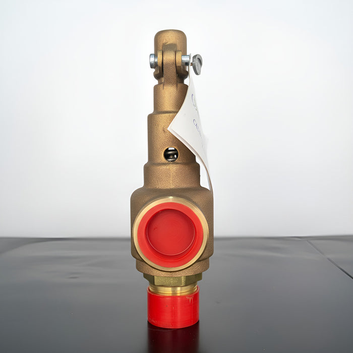 Válvula De Seguridad De 1 Marca Vayremex